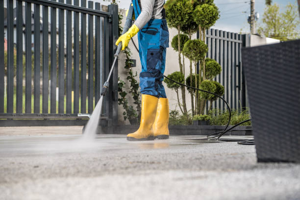 Best Driveway Pressure Washing  in Monticello, IN